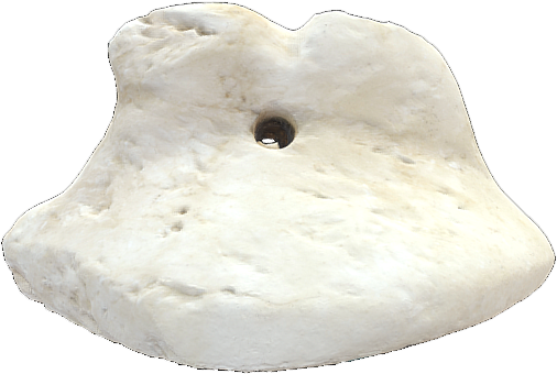 Stone Lion Lid 1