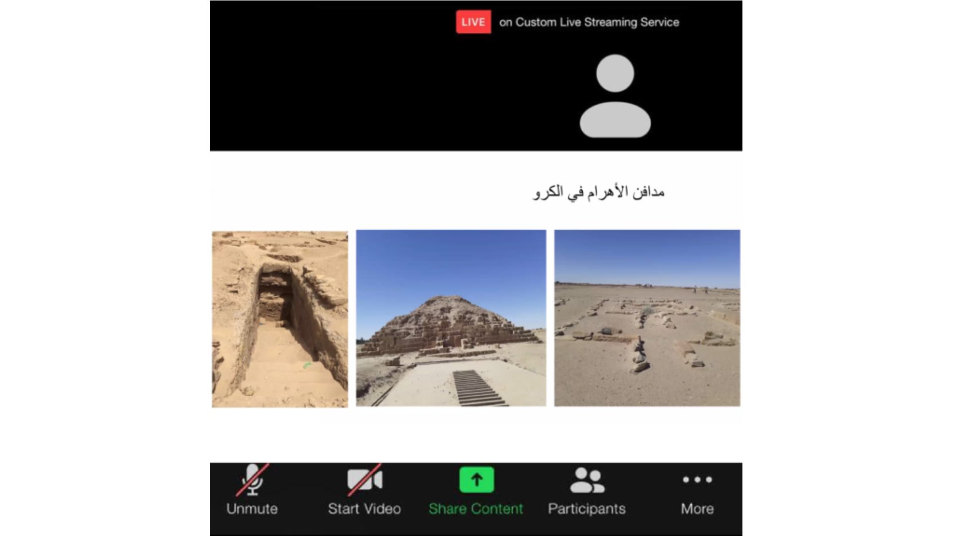 Sharjah Archaeology Authority organizes virtual lecture highlighting achievements of Meroitic civilization in funerary architecture