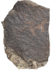 Petroglyph J24 Khatm Al Melaha, Kalba, Sharjah 2