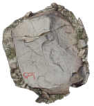 Petroglyph C7 Khatm Al Melaha, Kalba, Sharjah 1