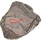 Petroglyph H21, Khatm Al Melaha, Kalba, Sharjah 1