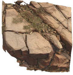 Petroglyph J1, Khatm Al Melaha, Kalba, Sharjah 1