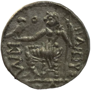 Slider Collection Img