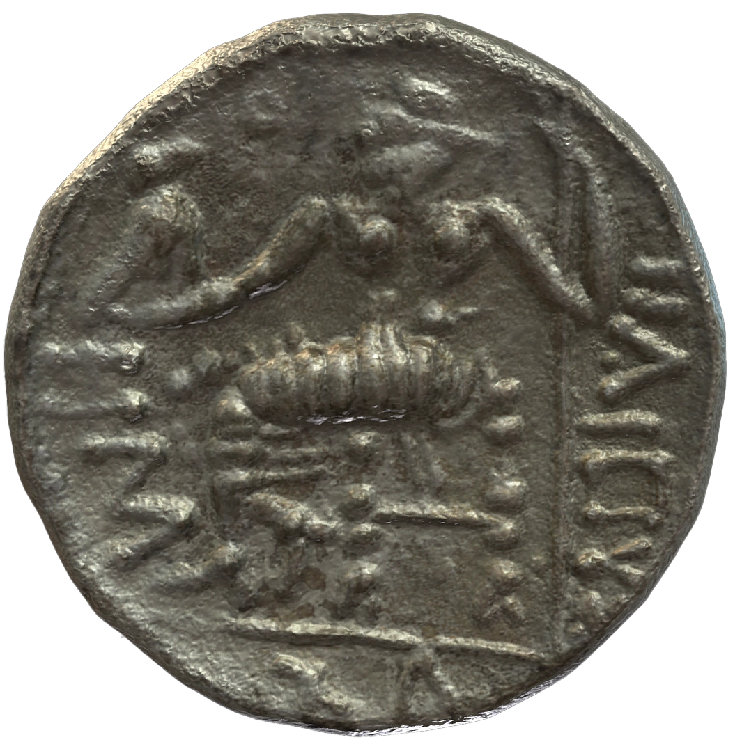 عملة فضية ما قبل الإسلام SAA248N