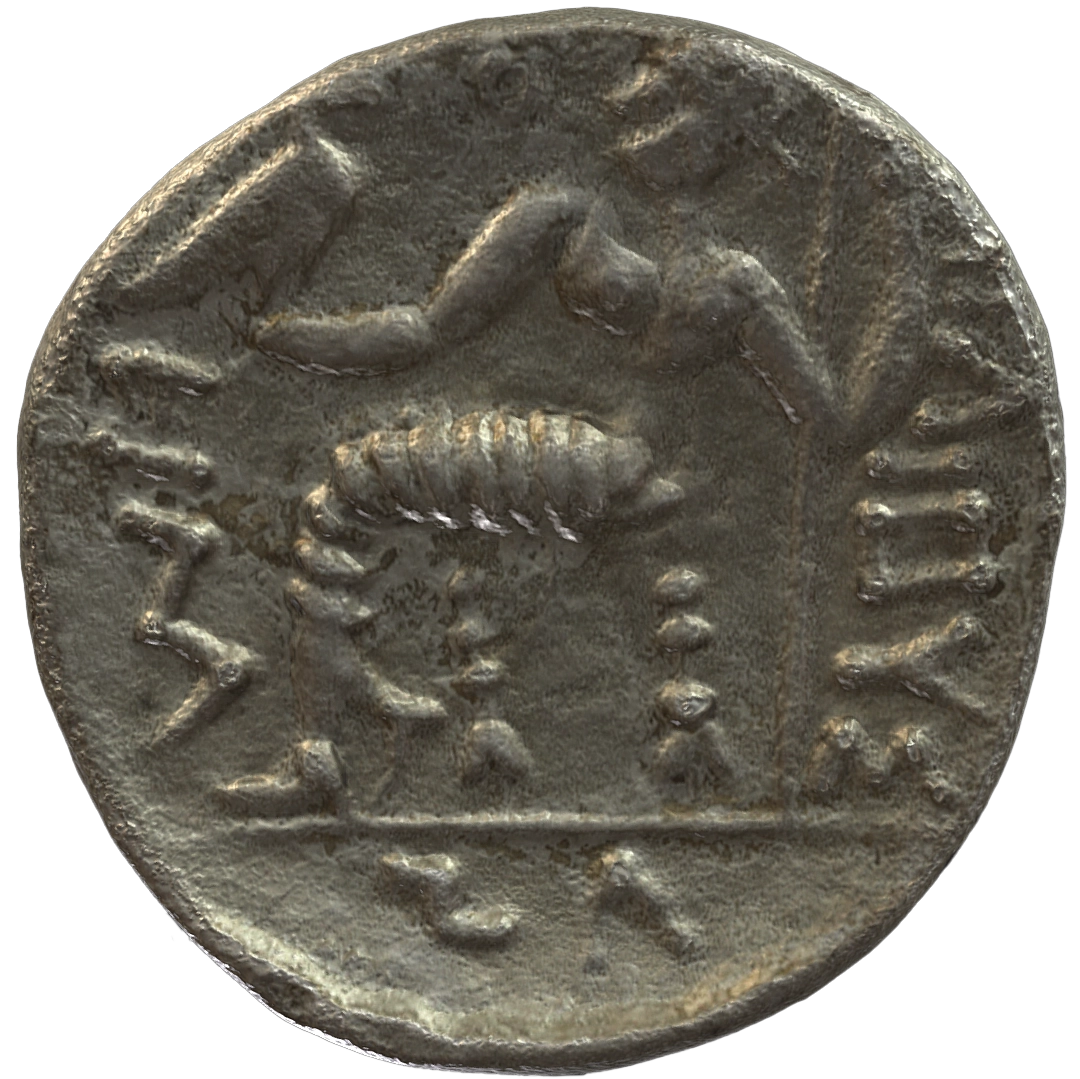 عملة فضية ما قبل الإسلام SAA240N