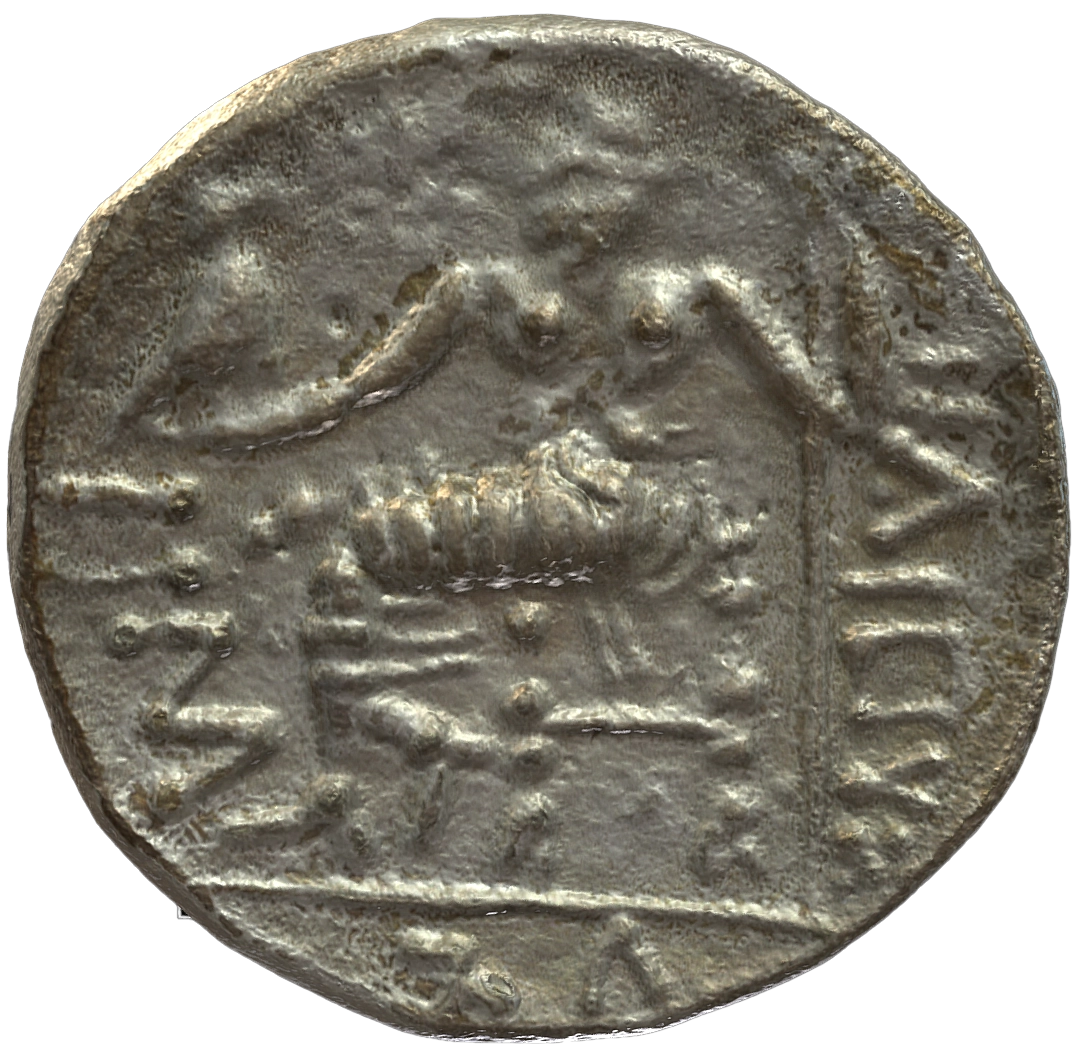 Pre-Islamic Silver Coin SAA233N