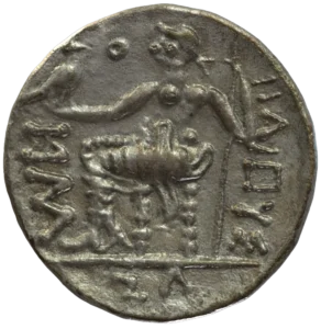 Slider Collection Img