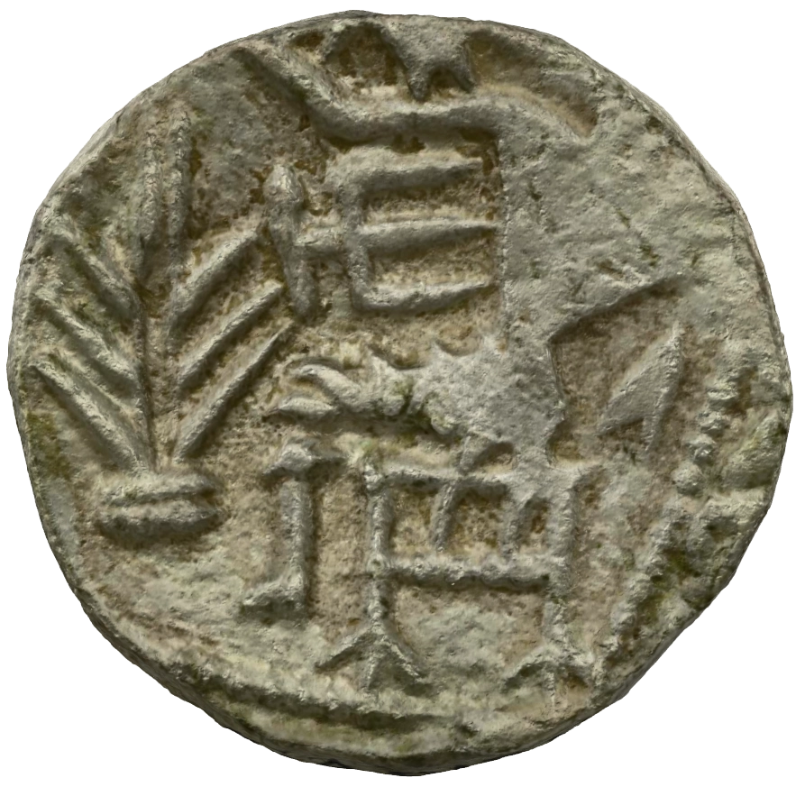 Pre-Islamic Silver Coin SAA013N